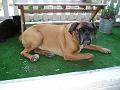 Spock 30 augustus 2005 (5)